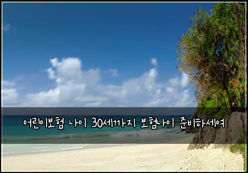 ์ด๋ฆฐ์ด๋ณดํ ๋์ด 30์ธ๊น์ง ๋ณดํ๋์ด ์ค๋นํ์ธ์ฌ
