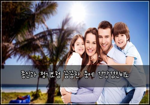 종신과 정기보험 꼼꼼한  중에 건강검진비도