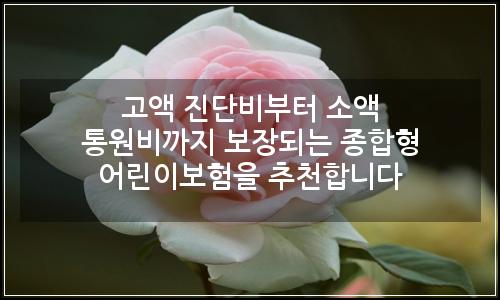 오늘의 이미지