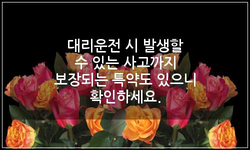 오늘의 이미지