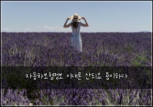 ์๋์ฐจ๋ณดํ์ ๋ณด ์ด๋๋ก ์๋์ ์ฉ์ดํ๋ค