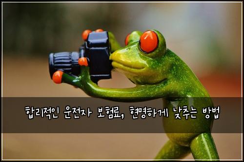  합리적인 운전자 보험료, 현명하게 낮추는 방법