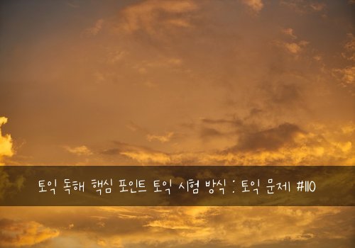 토익 독해 핵심 포인트 토익 시험 방식 : 토익 문제 #110