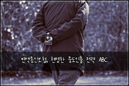  변액종신보험, 현명한 중도인출 전략 ABC