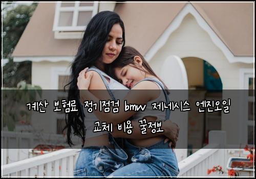 계산 보험료 정기점검 bmw 제네시스 엔진오일 교체 비용 꿀정보