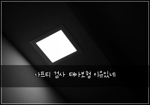 ๋ํํฐ ๊ฒ์ฌ ํ์๋ณดํ ์ด์ ์๋ค