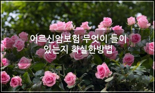 오늘의 이미지