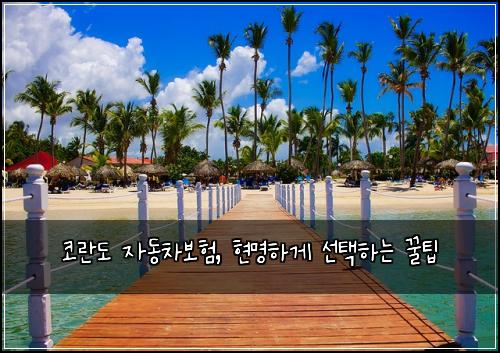 코란도 자동차보험, 현명하게 선택하는 꿀팁