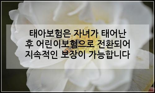 오늘의 이미지