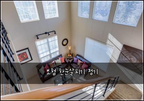 보험 한눈살피기  정기