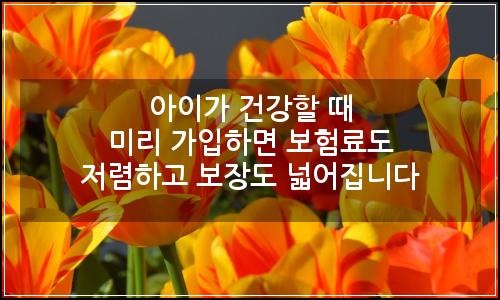 오늘의 이미지