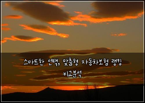  스마트한 선택, 맞춤형 자동차보험 랭킹 비교분석