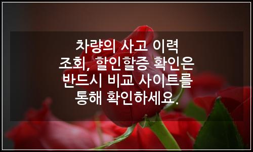오늘의 이미지
