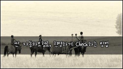  싼 자동차보험료, 현명하게 Check하는 방법