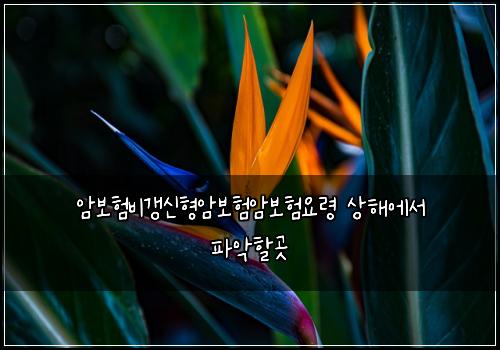 ์๋ณดํ๋น๊ฐฑ์ ํ์๋ณดํ์๋ณดํ์๋ น ์ํด์์ ํ์
ํ ๊ณณ