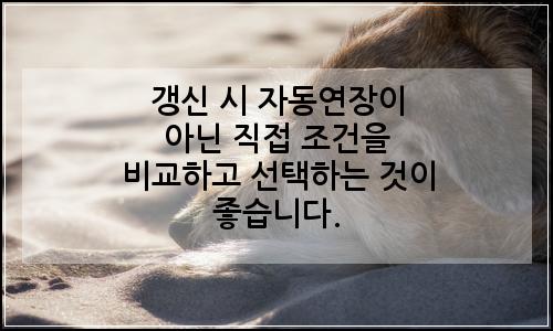 오늘의 이미지