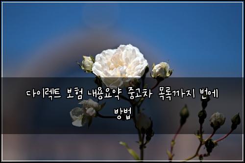 다이렉트 보험 내용요약  중고차 목록까지 번에 방법