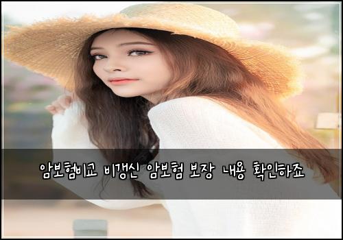 암보험비교 비갱신 암보험 보장 내용 확인하죠