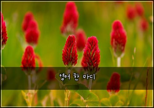 ์์ด ํ ๋ง๋