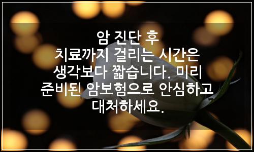 오늘의 이미지