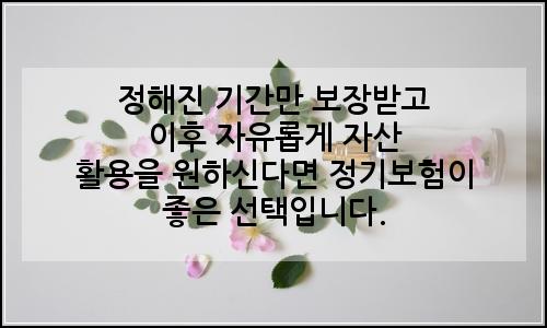 오늘의 이미지