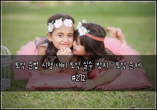 토익 문법 시험 대비 토익 실수 방지 : 토익 문제 #272