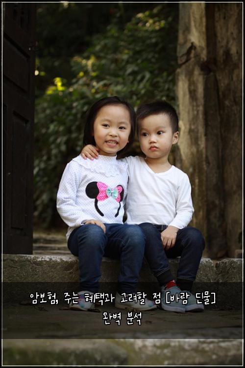 암보험, 주는 혜택과 고려할 점 [바람 딘물] 완벽 분석