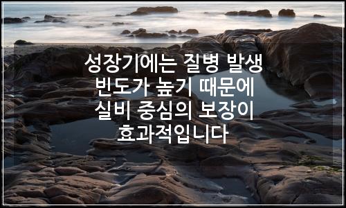 오늘의 이미지
