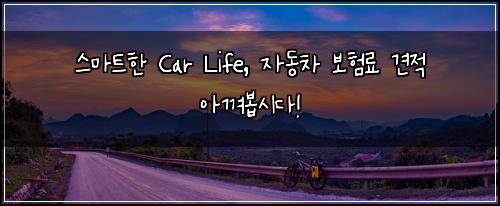  스마트한 Car Life, 자동차 보험료 견적 아껴봅시다!