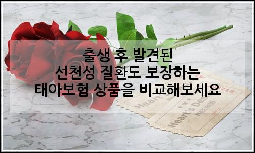 오늘의 이미지