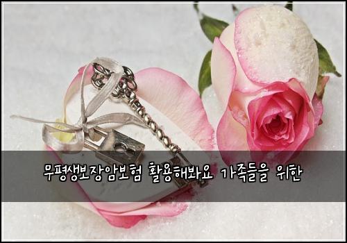 ๋ฌดํ์๋ณด์ฅ์๋ณดํ ํ์ฉํด๋ด์ ๊ฐ์กฑ๋ค์ ์ํ