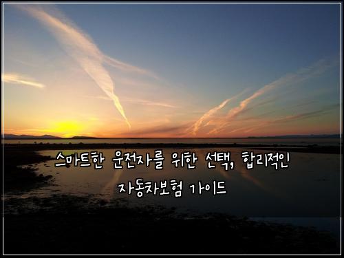  스마트한 운전자를 위한 선택, 합리적인 자동차보험 가이드
