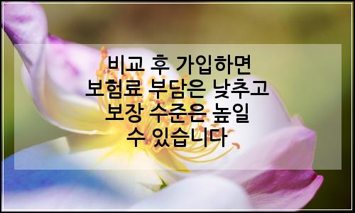 오늘의 이미지