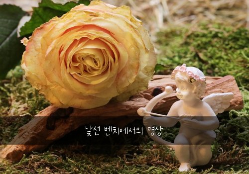 낯선 벤치에서의 명상