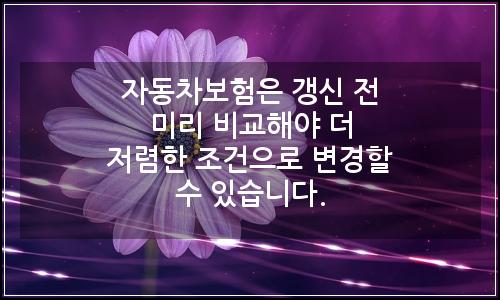 오늘의 이미지