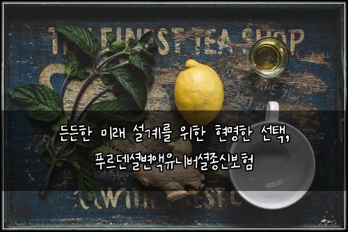  든든한 미래 설계를 위한 현명한 선택, 푸르덴셜변액유니버셜종신보험