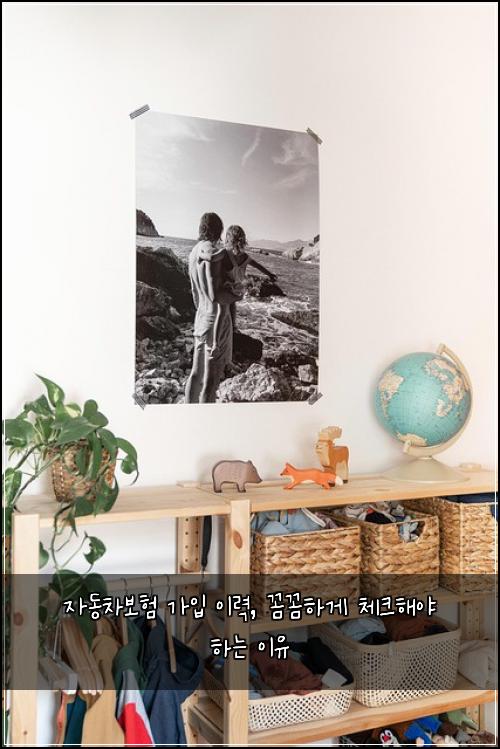 자동차보험 가입 이력, 꼼꼼하게 체크해야 하는 이유