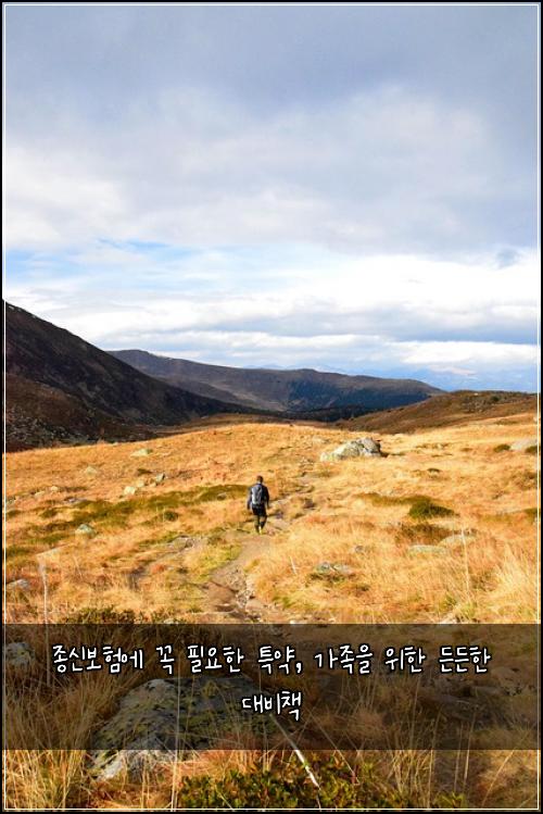 종신보험에 꼭 필요한 특약, 가족을 위한 든든한 대비책
