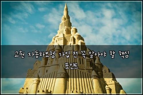 교원 자동차보험: 가입 전 꼭 알아야 할 핵심 포인트