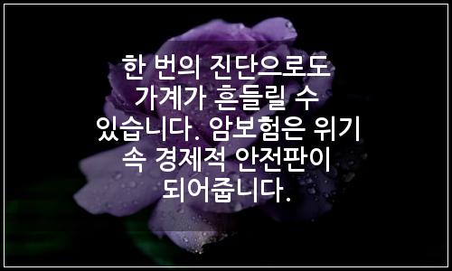 오늘의 이미지