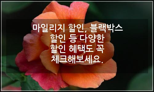 오늘의 이미지