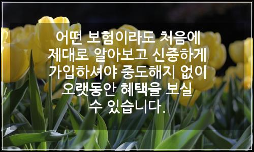 오늘의 이미지