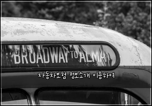 자동차보험 정보소개  이용하여