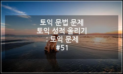 오늘의 이미지