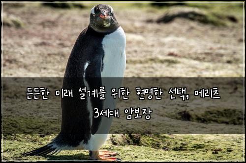  든든한 미래 설계를 위한 현명한 선택, 메리츠 3세대 암보장