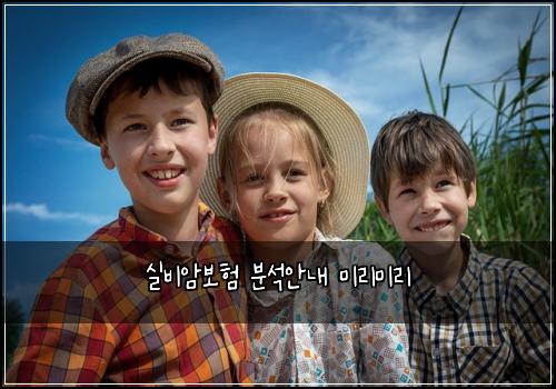 실비암보험 분석안내  미리미리