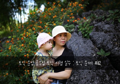 토익 문법 공부법 토익 시험 실수 : 토익 문제 #112