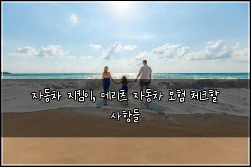 자동차 지킴이, 메리츠 자동차 보험 체크할 사항들