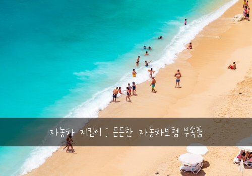 자동차 지킴이 : 든든한 자동차보험 부속품