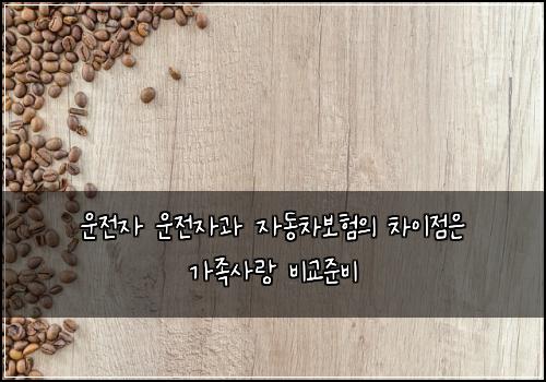 ์ด์ ์ ์ด์ ์๊ณผ ์๋์ฐจ๋ณดํ์ ์ฐจ์ด์ ์ ๊ฐ์กฑ์ฌ๋ ๋น๊ต์ค๋น